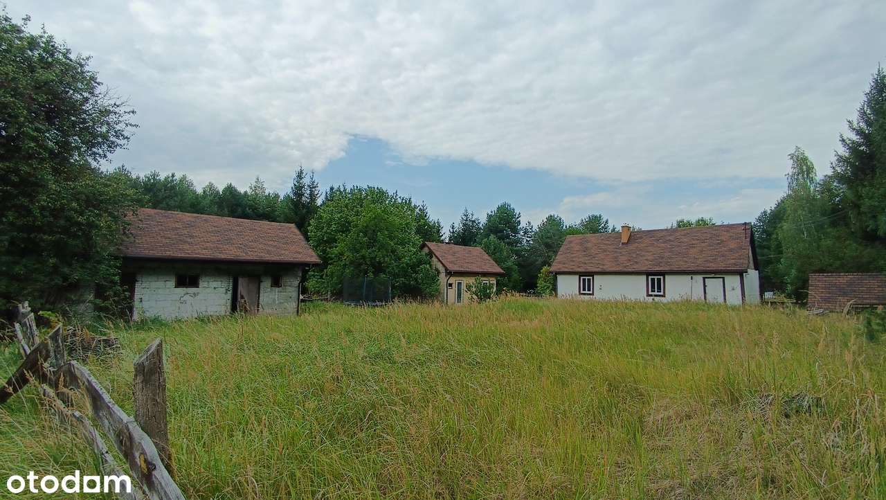 siedlisko w środku lasów borów sosnowych