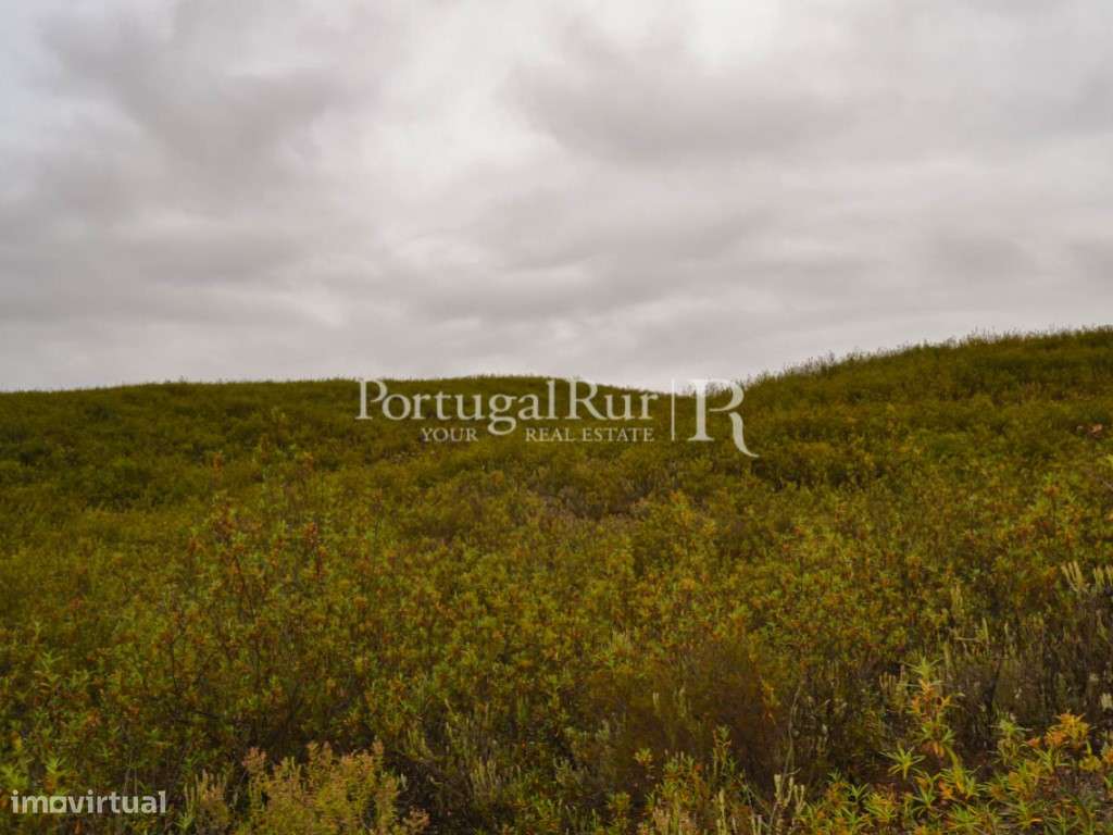 Terreno de 34.220m2 com ruína no Fratel - Grande imagem: 4/28