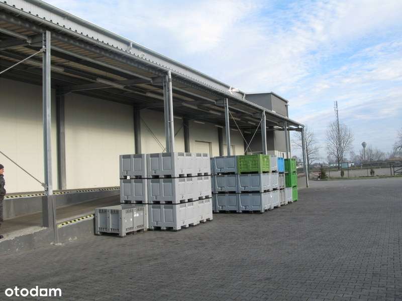 Przedsiębiorstwo DRIVA sp. z o.o. na sprzedaż. Chłodnia w Grabowie-7