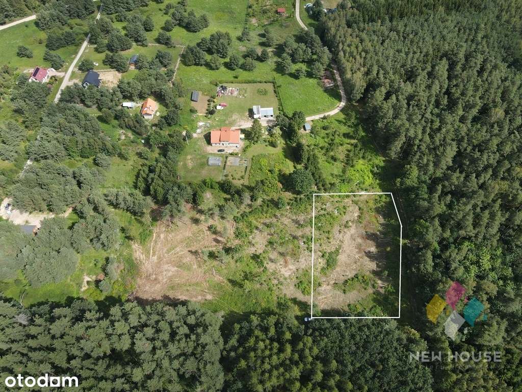 działka w sąsiedztwie lasu, z możliwością zabudowy - Pełny obrazek: 3/4