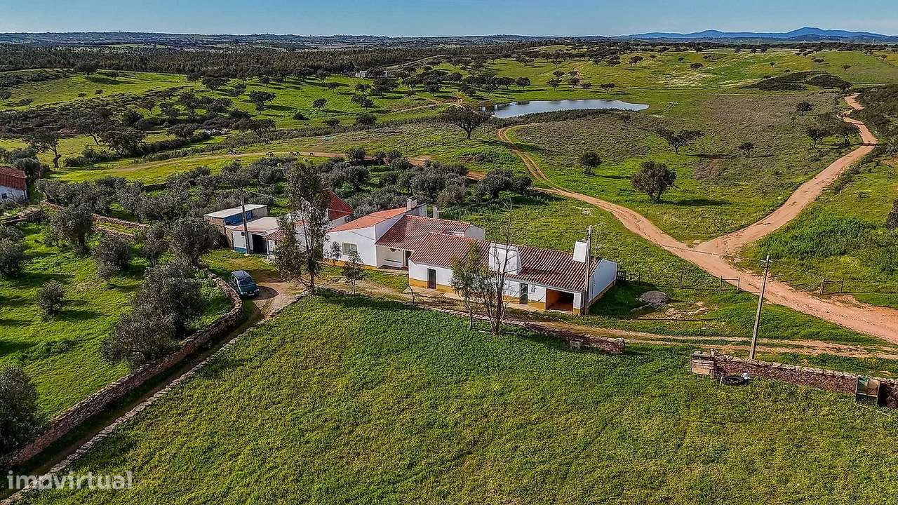 Quinta  para venda-18