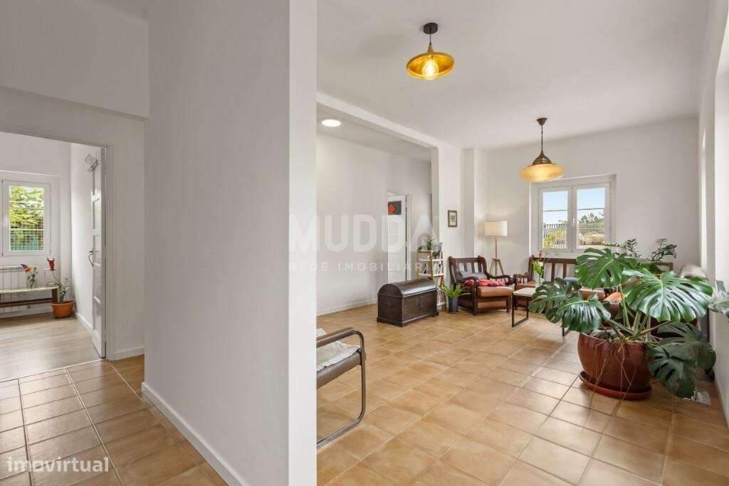 Moradia térrea T3 com anexos e terreno no Campo/Caldas da Rainha-2