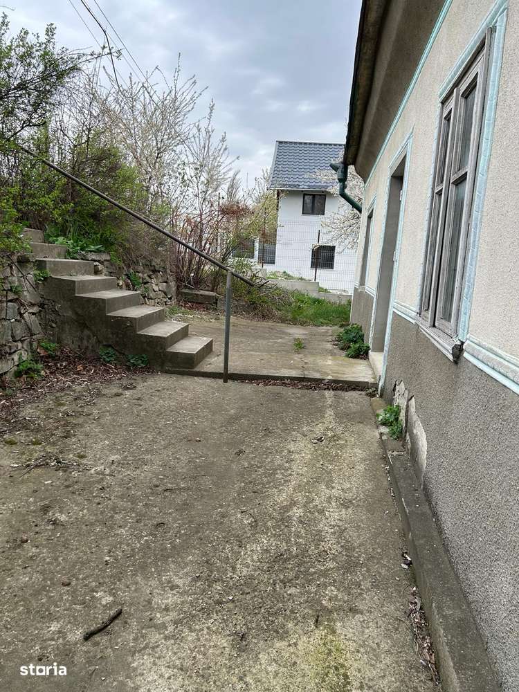 30 ari zona centrala-1