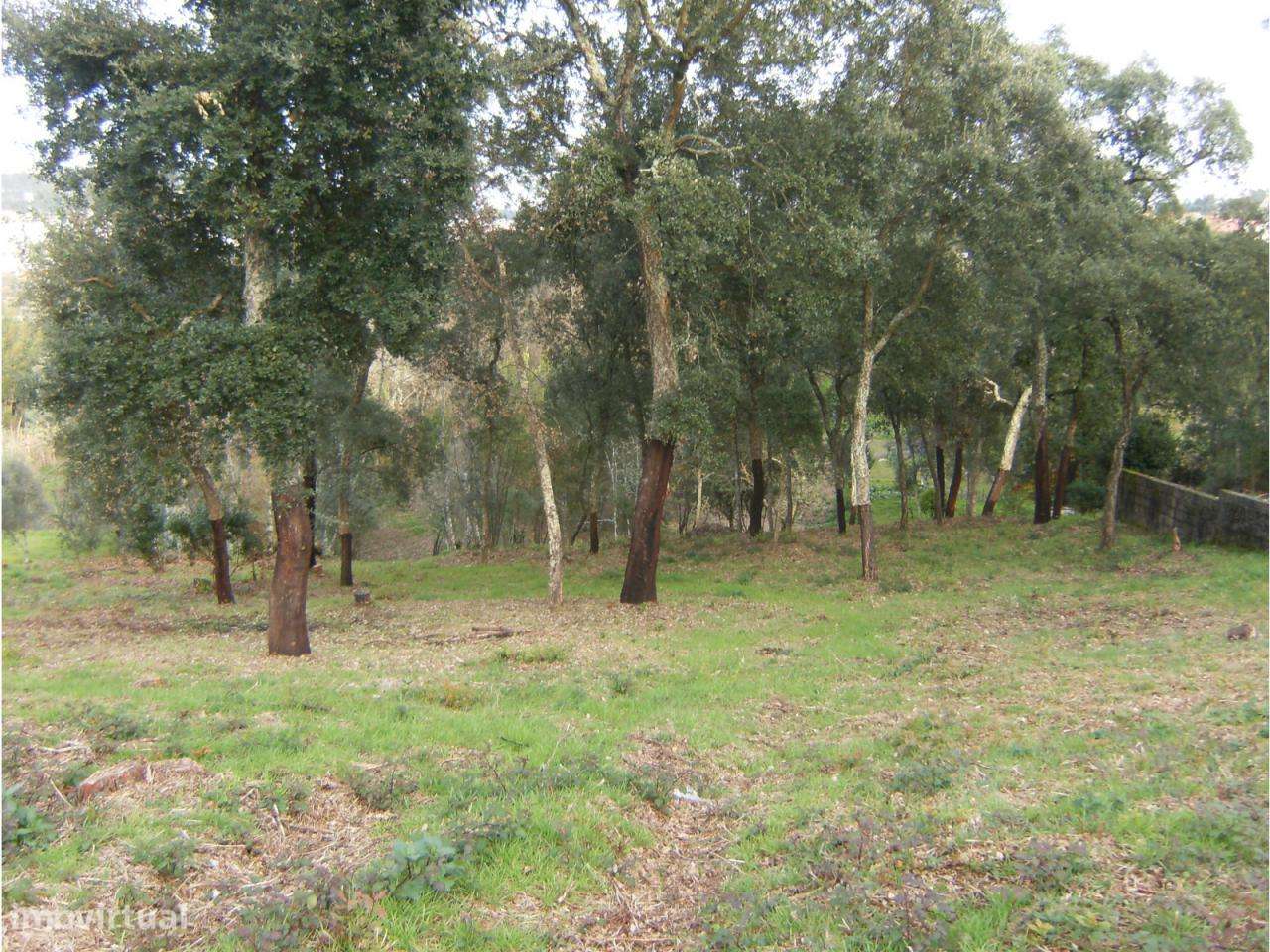 Terreno a 2 Minutos de Ourém - Grande imagem: 3/3