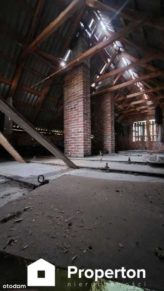 Siedlisko z potencjałem w Cisówce – 1,62 ha - Pełny obrazek: 4/9