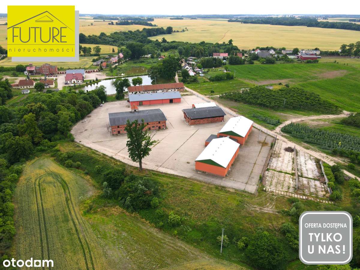 Budynek gospodarczy Wysoka koło Pasłęka - Pełny obrazek: 5/9