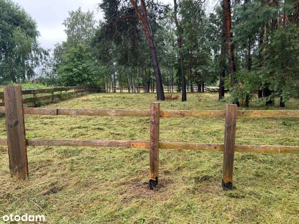 Sprzedam wyjątkową działkę letniskowo-budowlaną - Pełny obrazek: 5/7