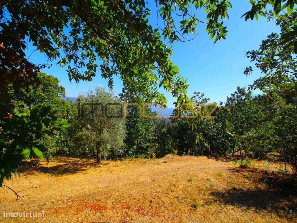 Quinta de 2ha com vista panorâmica - Freigil-4