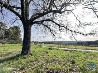 Terreno em Guarda de 21741,00 m2