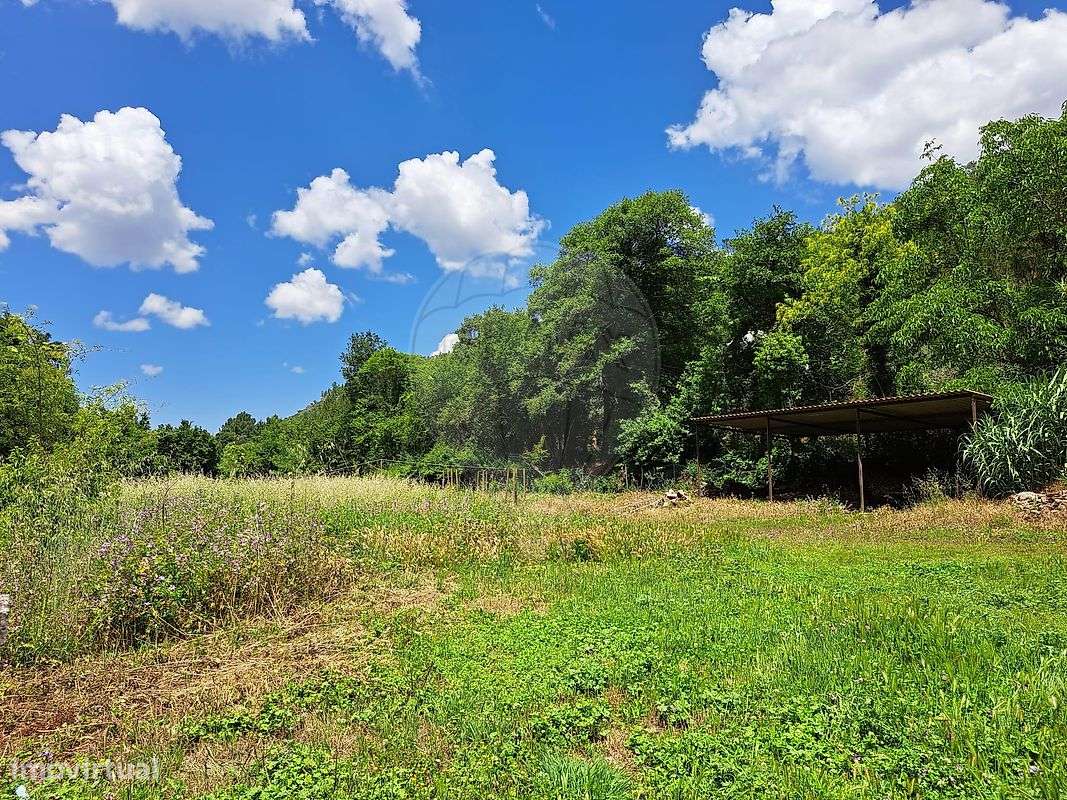 Quinta T5 para venda - Grande imagem: 3/17