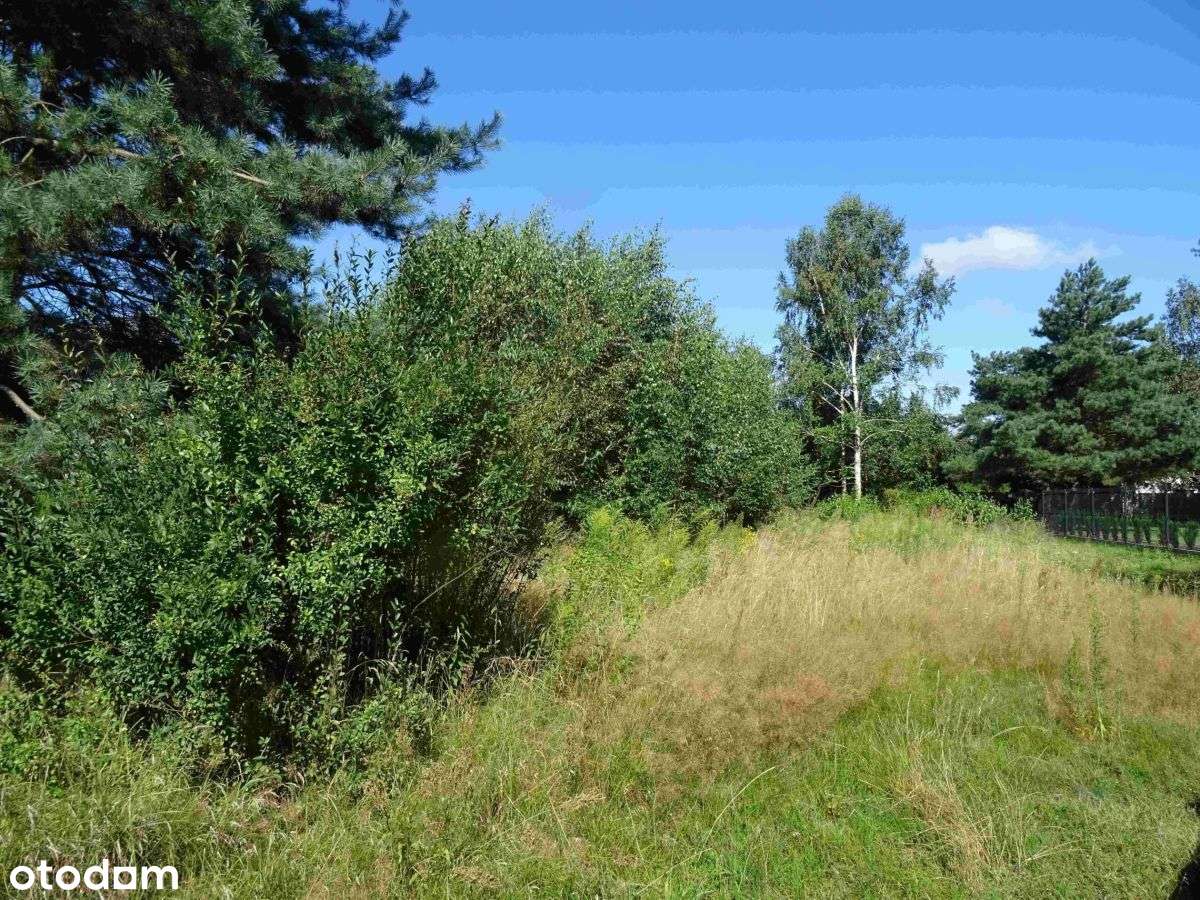 Działka w pobliżu lasu - Pełny obrazek: 5/7