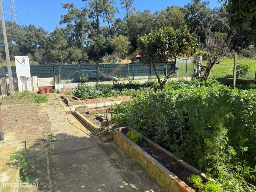 Terreno Urbano com 412m2 e pequena moradia edificada-17