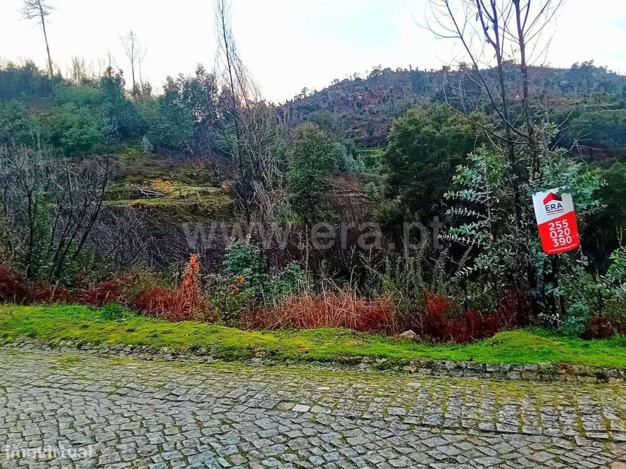 Terreno Rústico / Baião, Ancede e Ribadouro - Grande imagem: 5/5
