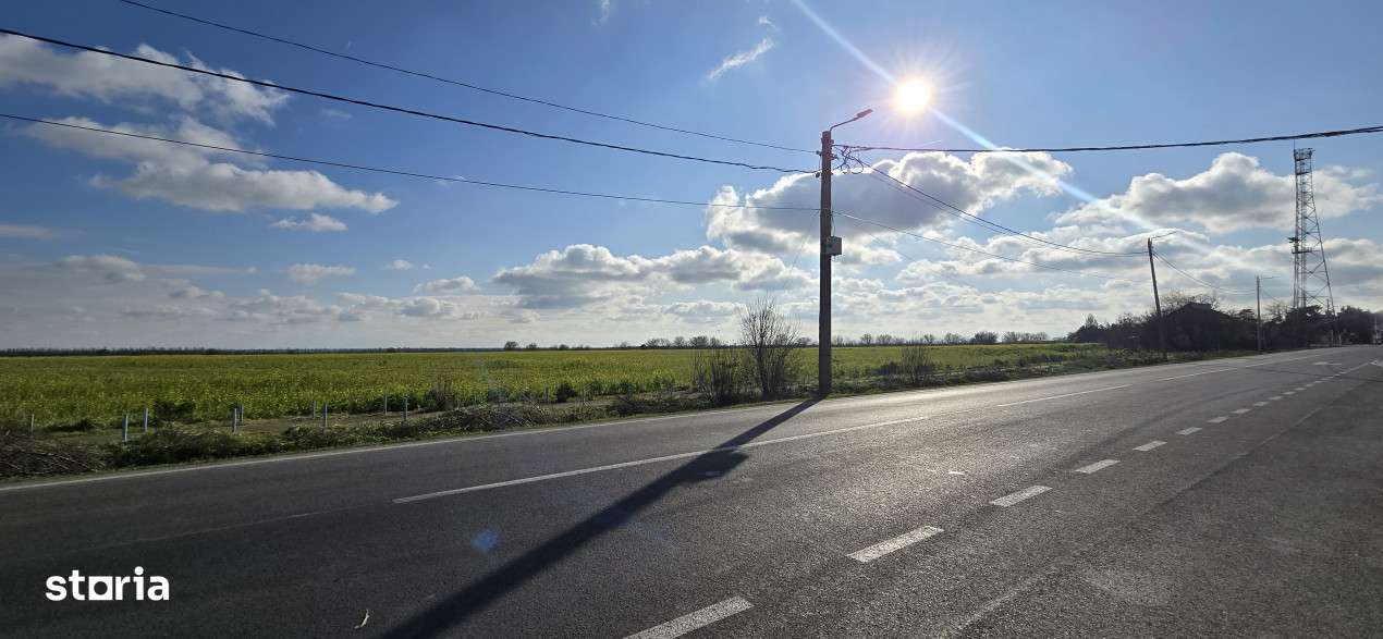 Teren 3,8 ha in Vama Veche pe partea cu marea, la 300 ml de granita - Imagine principală: 4/7