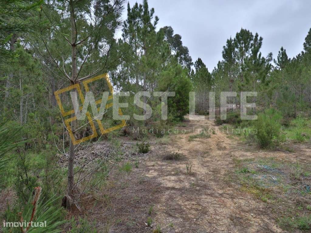 Terreno no Sobral de Abelheira - Terreno rústico / agrícola de 5025m2 - Grande imagem: 4/10