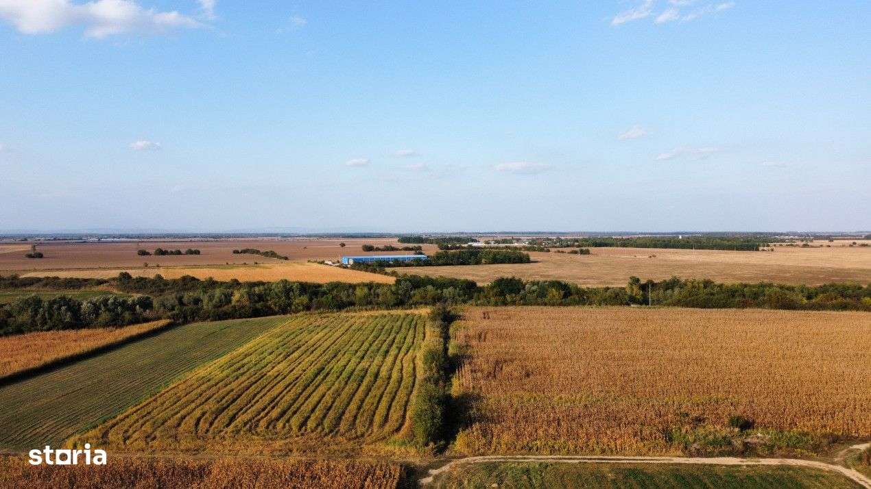 Teren rezidential retras langa lac SNAGOV in Silistea Snagovului, DN1, - Imagine principală: 1/11