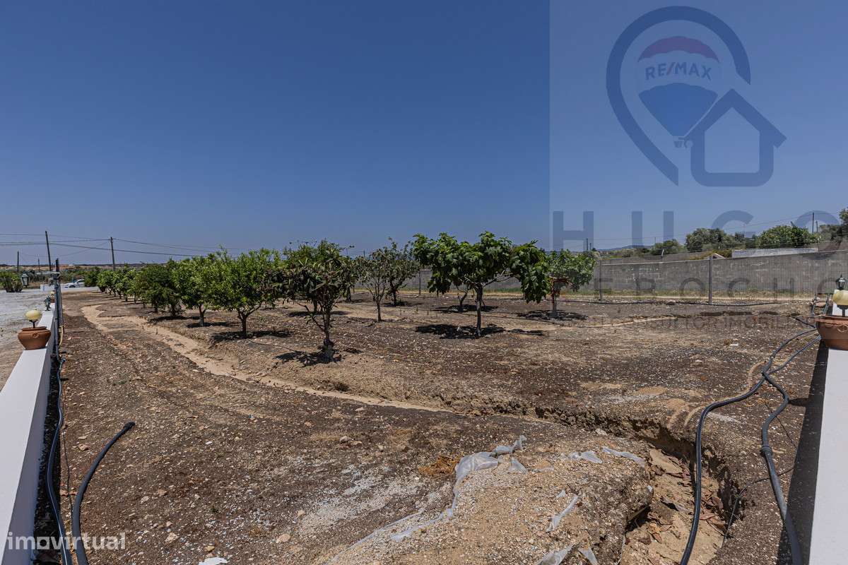 Quinta com 1,425 ha em Redondo-13