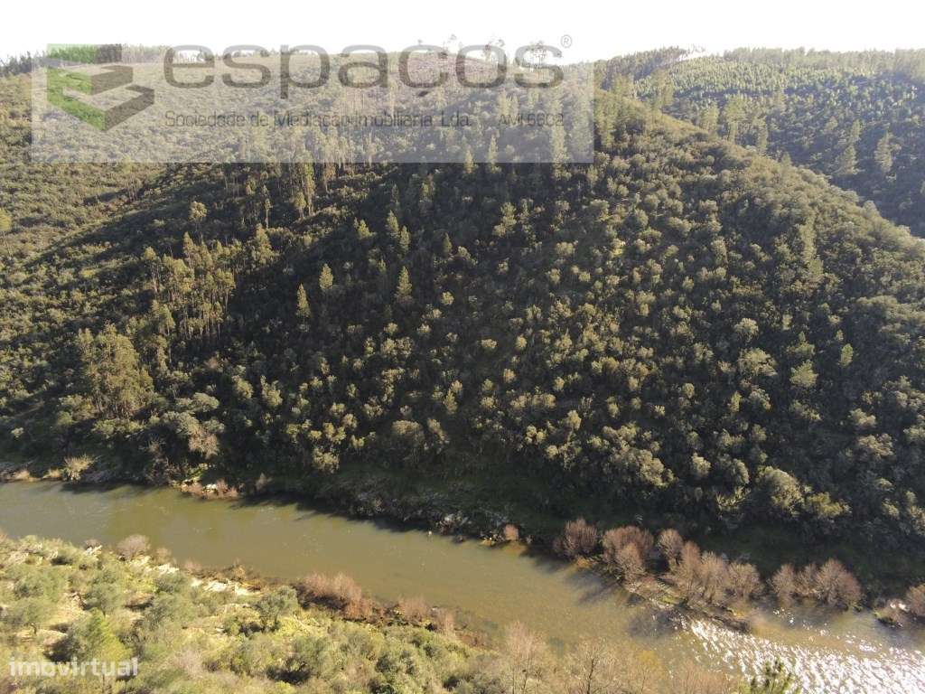 Terreno Rustico a confinar com Rio Ocreza - Grande imagem: 2/12