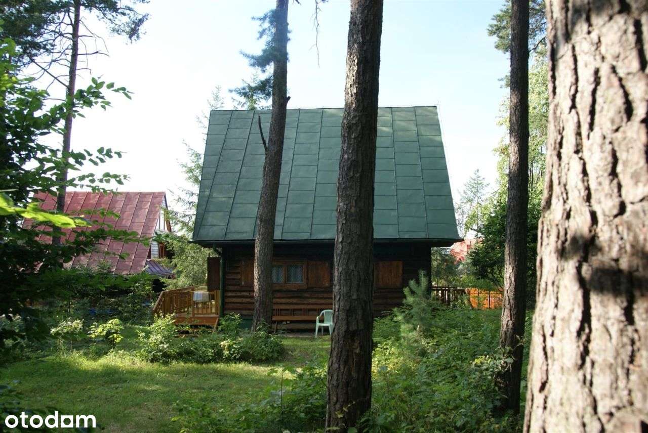 Wiśniowa dom letniskowy w górach, las,strumyk, 53a-1