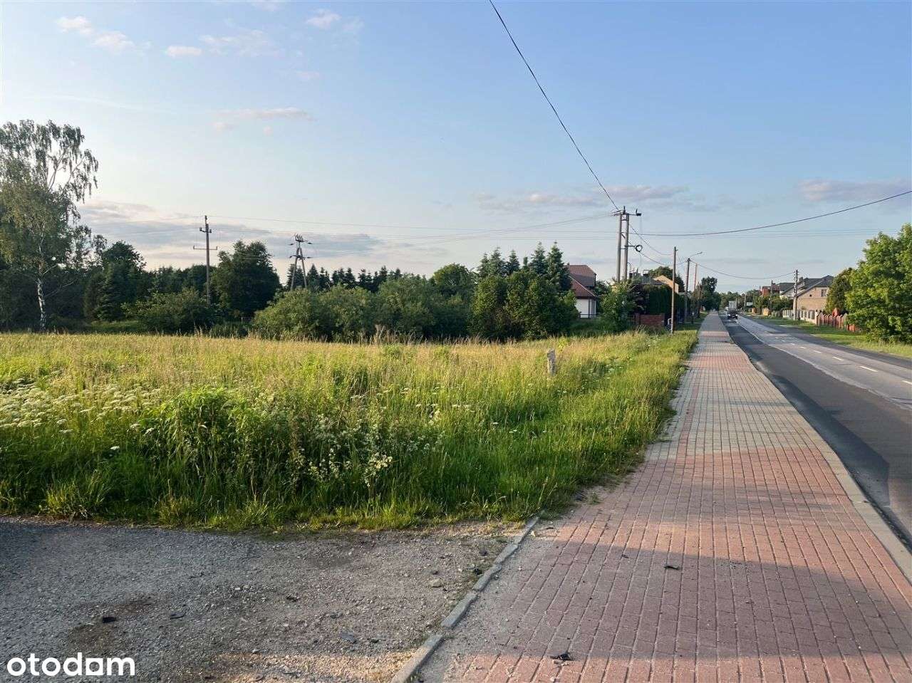 Działka, 3 797 m², Leśniaki-5