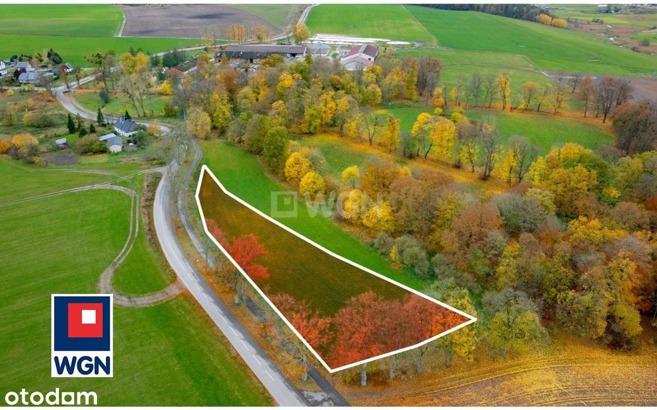 Na sprzedaż, Gospodarstwo Rolne- Ekologiczna Farma Mleczna, Wyczechowo-18