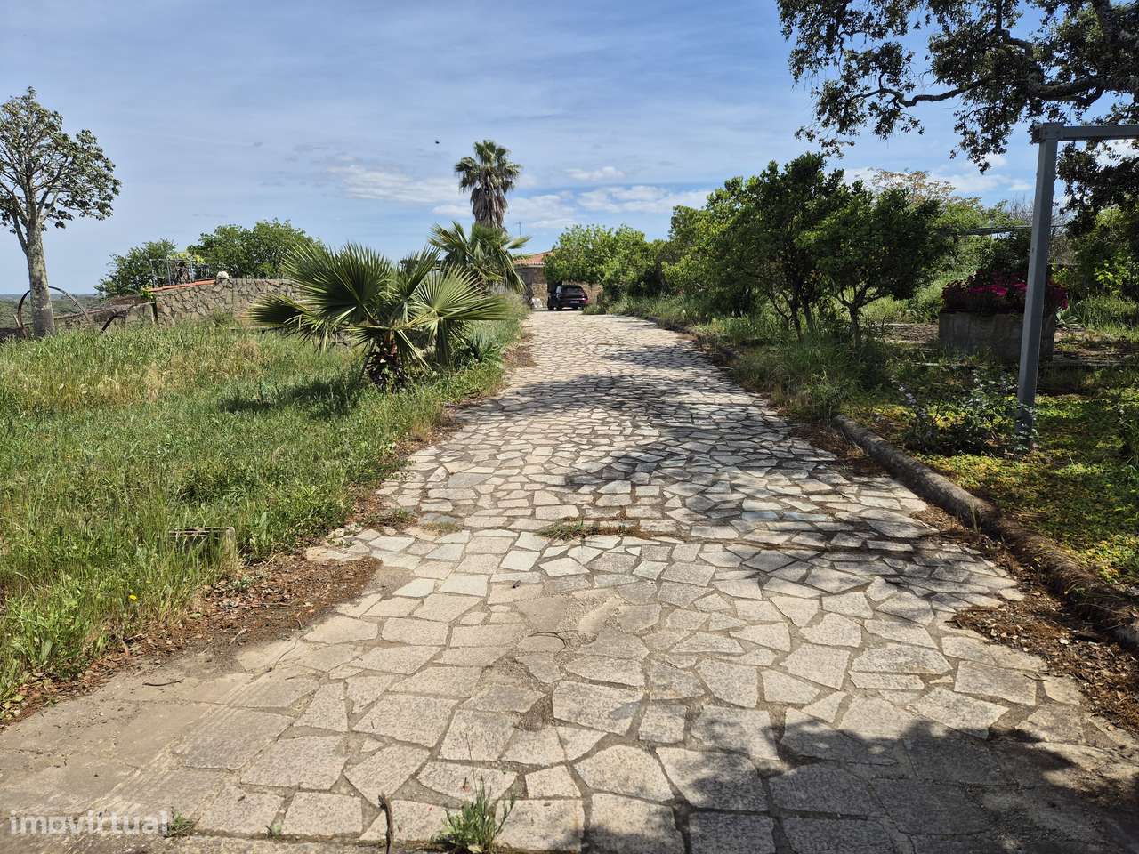 Monte Alentejano a 3km de Gomes Aires-Almodovar-12