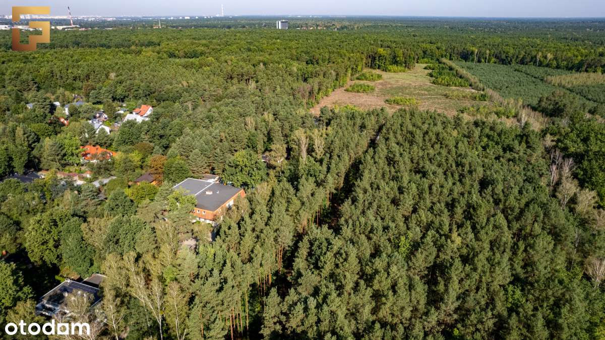 Cicha leśna działka z dobrym dojazdem / Skm-0