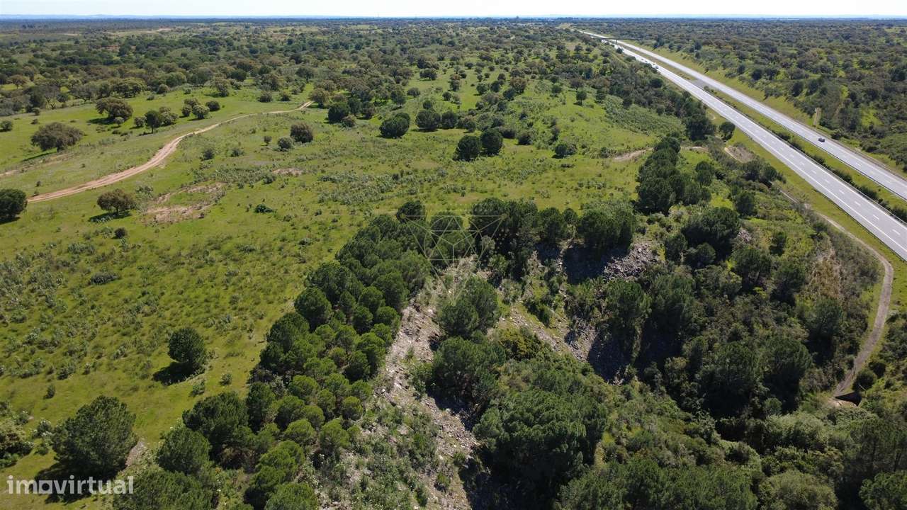 Herdade  Venda em Figueira dos Cavaleiros,Ferreira do Alentejo-15