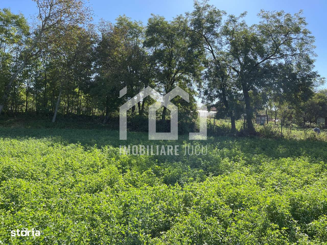 Teren Intravilan 1000mp - Jucu de Sus - Imagine principală: 5/5