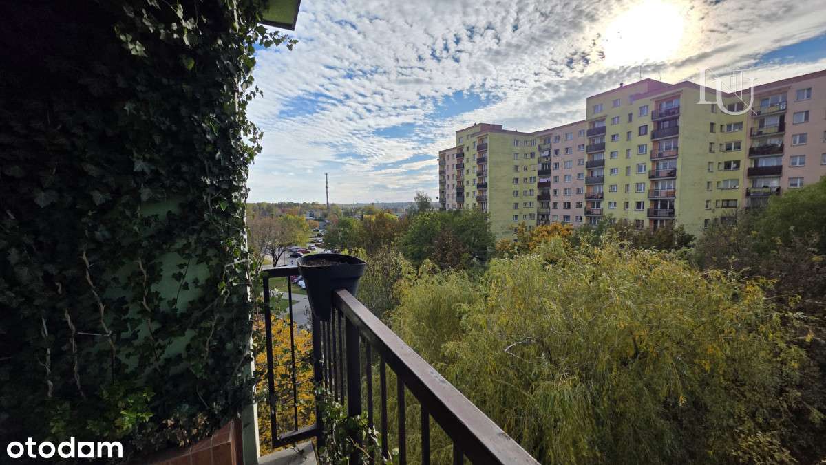 3 pokoje, świeżo po remoncie, gotowe do zamieszkania-19