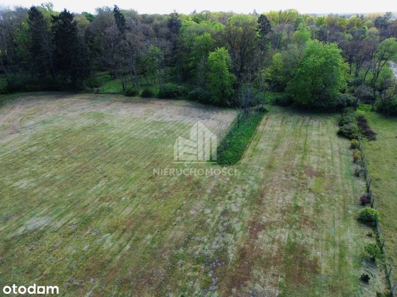 Działki budowlane pod lasem Natura 2000, Rzędziny - Pełny obrazek: 4/9