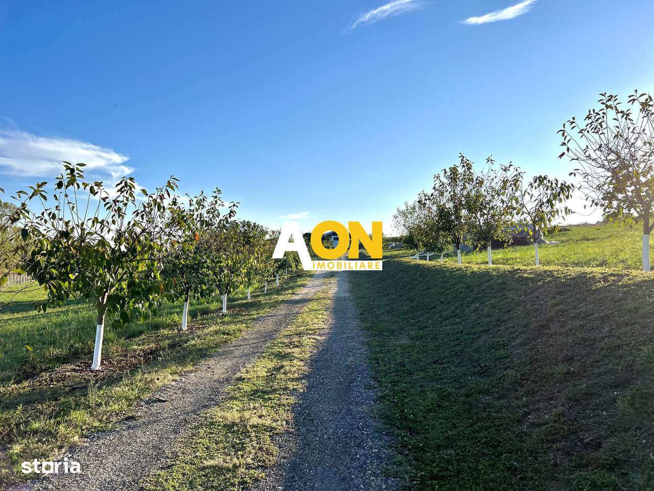 Ferma de vanzare cu 550MP utili si 27.500MP teren la asfalt - Imagine principală: 2/20