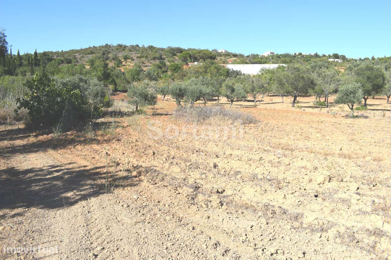 Terreno Rústico  Venda em Boliqueime,Loulé - Grande imagem: 3/6
