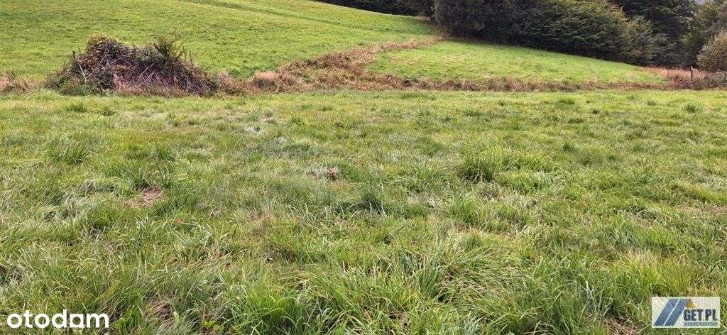 Działka pod Policą - Pełny obrazek: 5/6