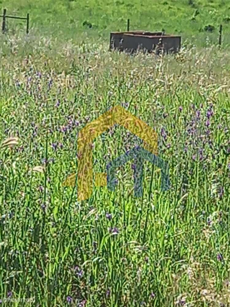 🏡 Quintinha em Monforte - Grande imagem: 4/22