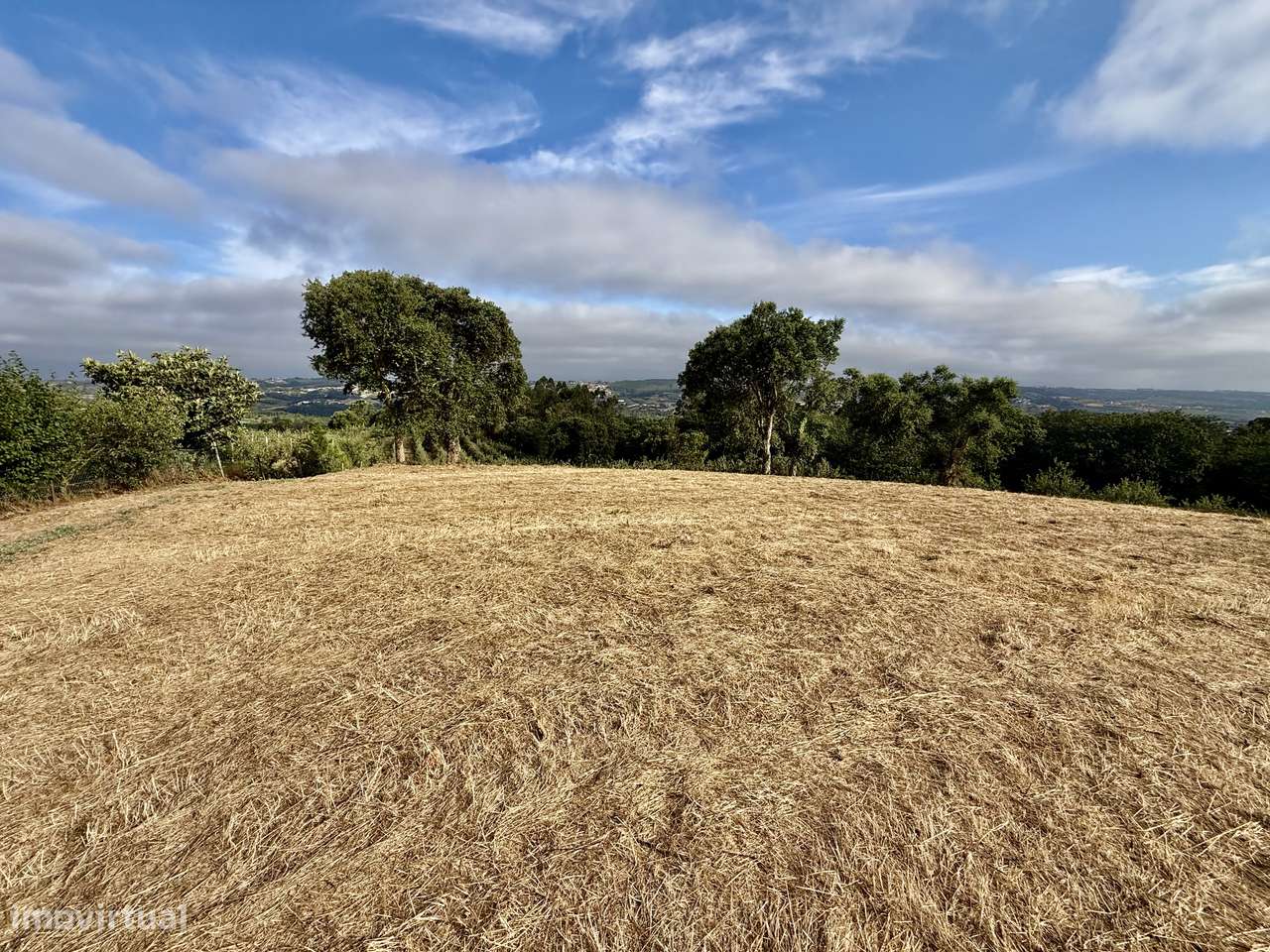 Terreno com vista panorâmica de campo - a 15 min São Martinho do Porto-4