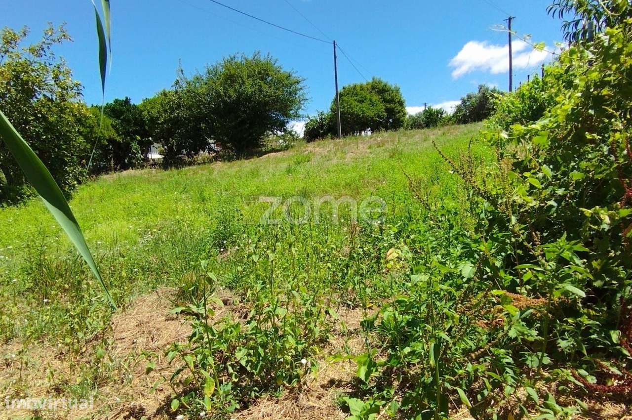 Terreno Almagreira - Grande imagem: 4/20