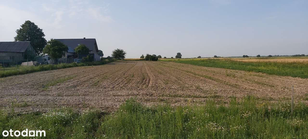 Działka budowlana Jastków  Panieńszczyzna 13 ar malownicza okolica - Pełny obrazek: 4/4