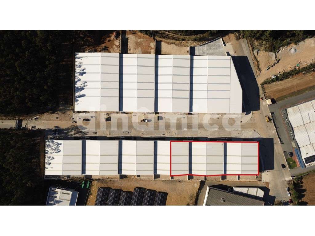 Pavilhão Industrial - Novo! - Grande imagem: 4/9