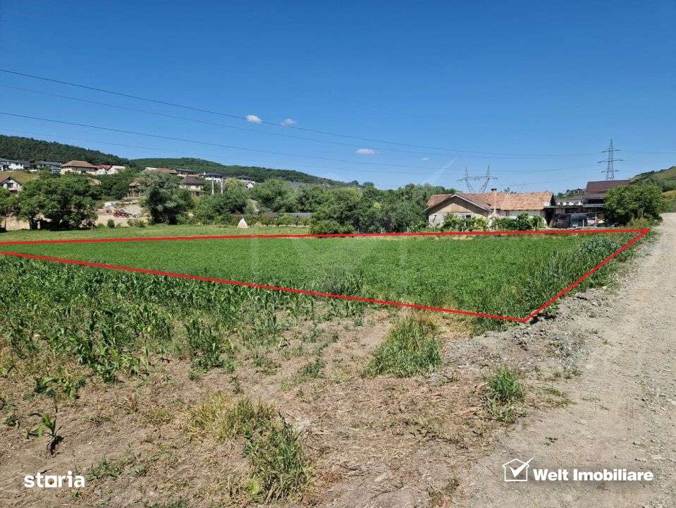 Teren intravilan 2000 mp – Popesti (Baciu) Ideal pentru casa, gradin - Imagine principală: 3/7