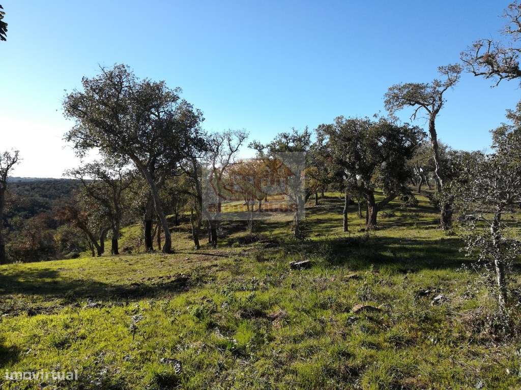 Hotel Rural: PRONTO A CONSTRUIR com todos os projectos aprovados-3