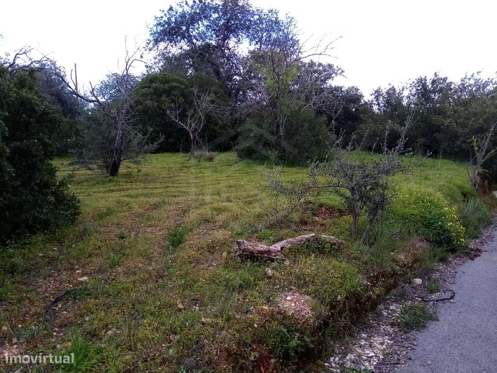 Terreno Rustico com 1930 m2, Loulé, Algarve - Grande imagem: 2/11