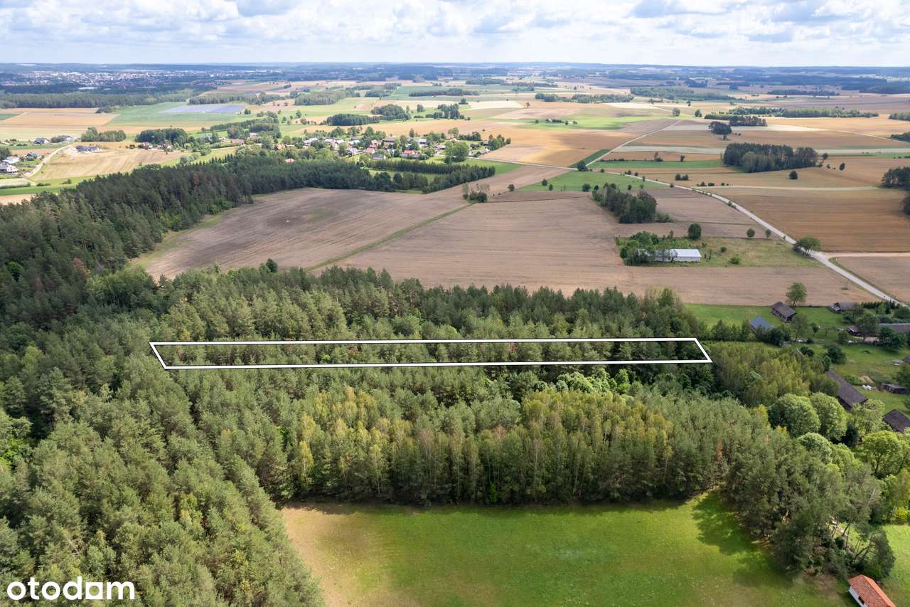 Działka pod Twój wymarzony dom w lesie** Igryły** - Pełny obrazek: 5/9