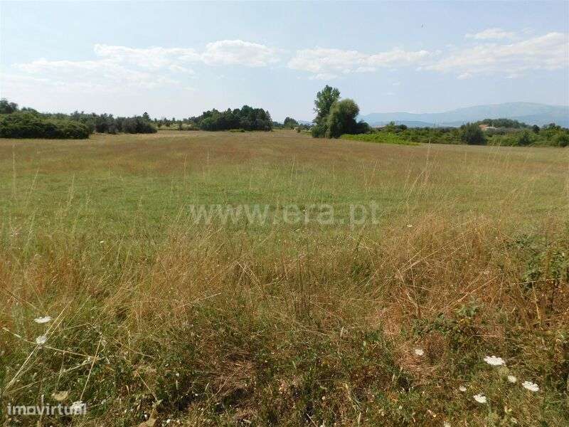 Terreno Rústico / Fundão, Valverde - Grande imagem: 4/5