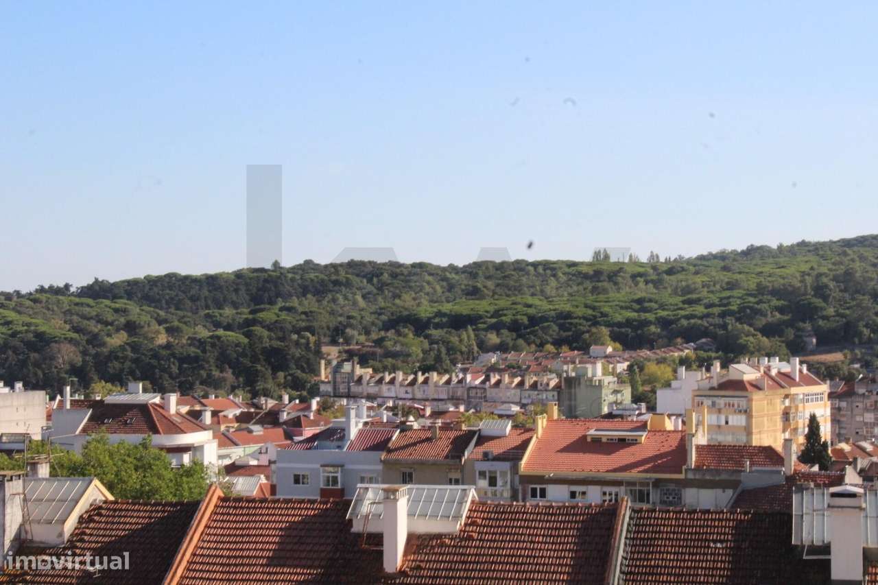 Oportunidade  de Investimento com Vista para o Monsanto - Grande imagem: 2/12