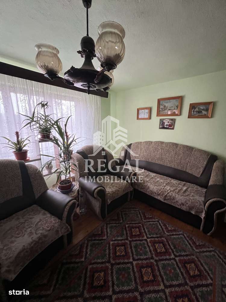 Două case individuale de vânzare în Teliuc –ideale pentru două familii-13