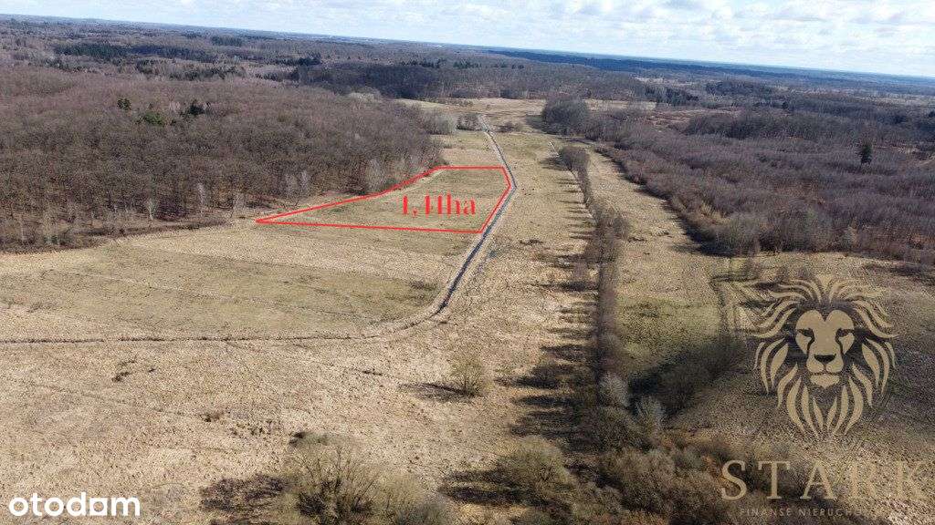 Działka rolna przy lesie, Kozy gm. Dobrzany - Pełny obrazek: 1/5