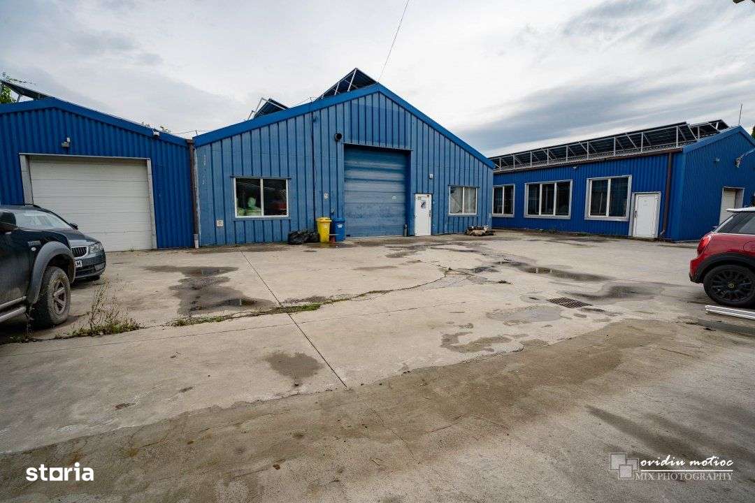 Hale in zona Calea Baciului-0