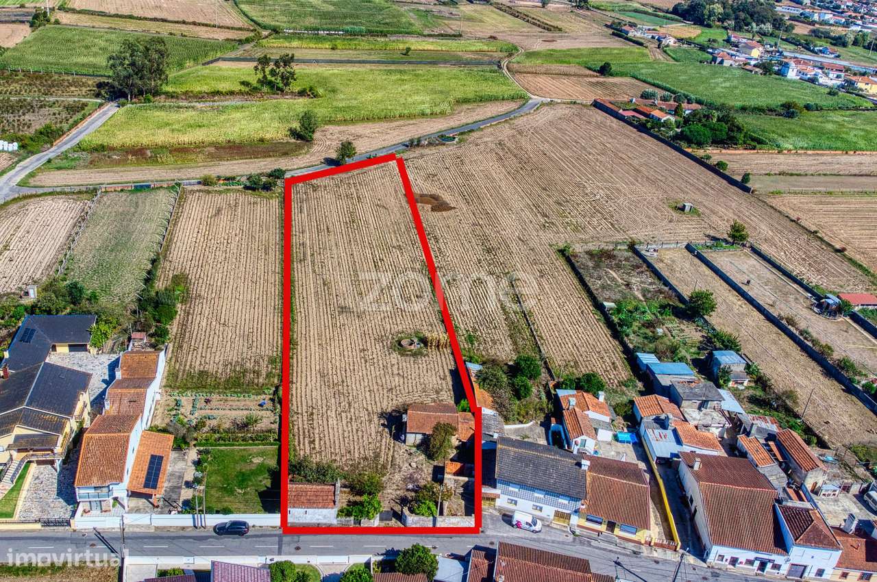 Dois Lotes em Avanca – 4.152 m² com Alvará de Loteamento - Grande imagem: 3/24