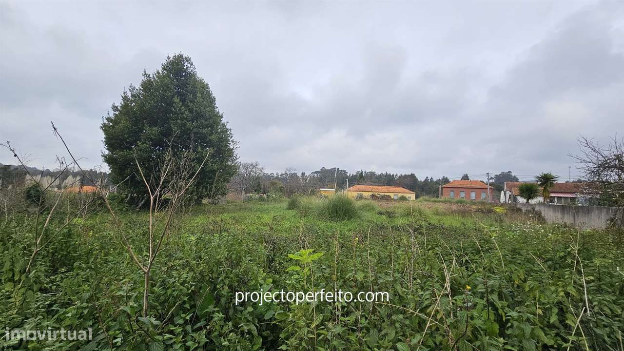 Terreno Rústico  Venda em Grijó e Sermonde,Vila Nova de Gaia - Grande imagem: 4/9